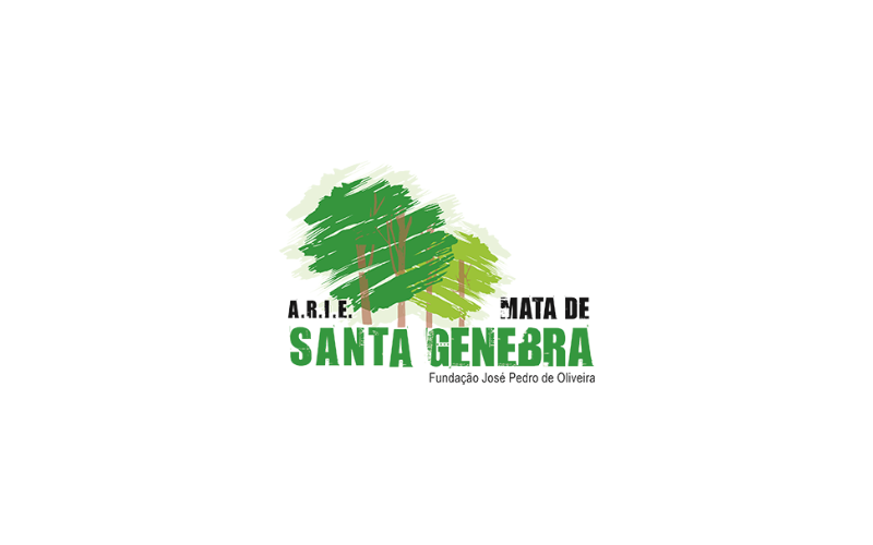 Integrantes do Programa Universidade da UNICAMP fazem atividade na Mata de Santa Genebra