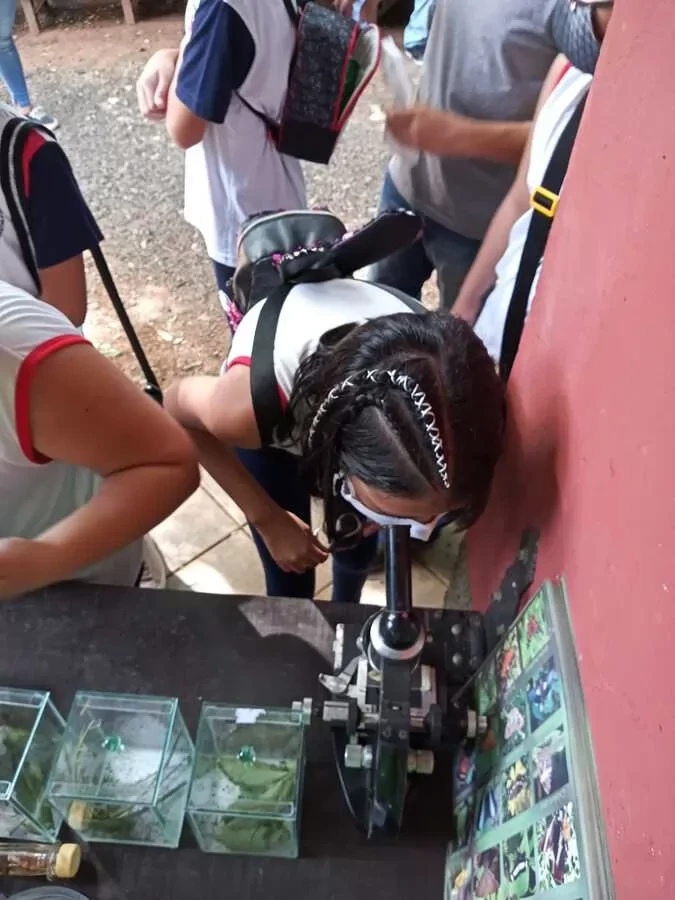 e2b143cf490859f855c47b3022697f1b.webp