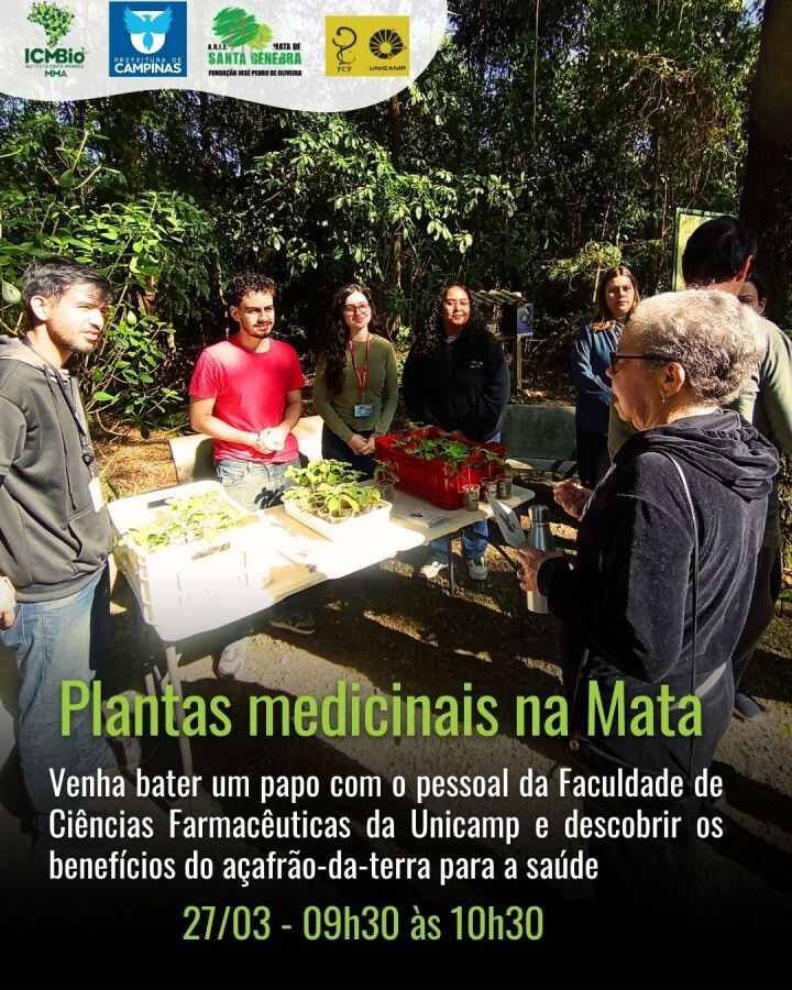 Plantas Medicinais na Mata