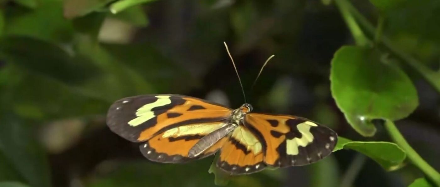 FJPO recebe visita do Secretário de Meio Ambiente e Sustentabilidade de Poços de Caldas