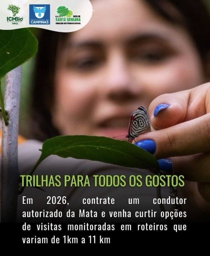 Ação Educativa sobre a raiva