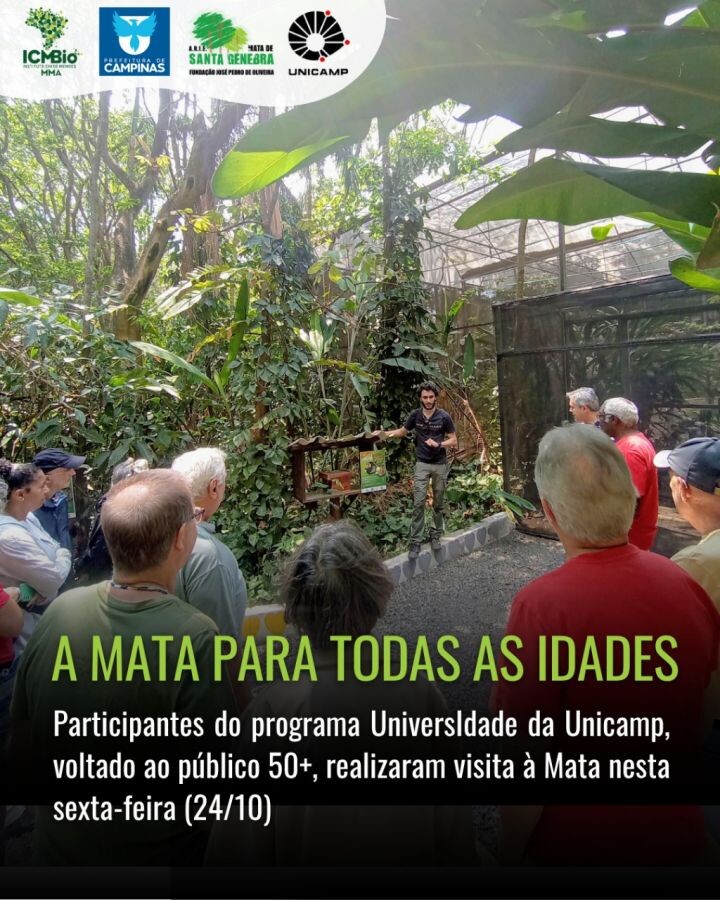 Colaboradoras da FJPO realizam caminhada na Mata de Santa Genebra em atividade sobre políticas públicas para mulheres