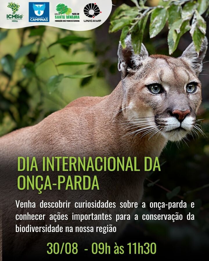 Parceria entre Fundação José Pedro de Oliveira e Unicamp promove atividade em comemoração ao Dia Internacional da Onça-Parda
