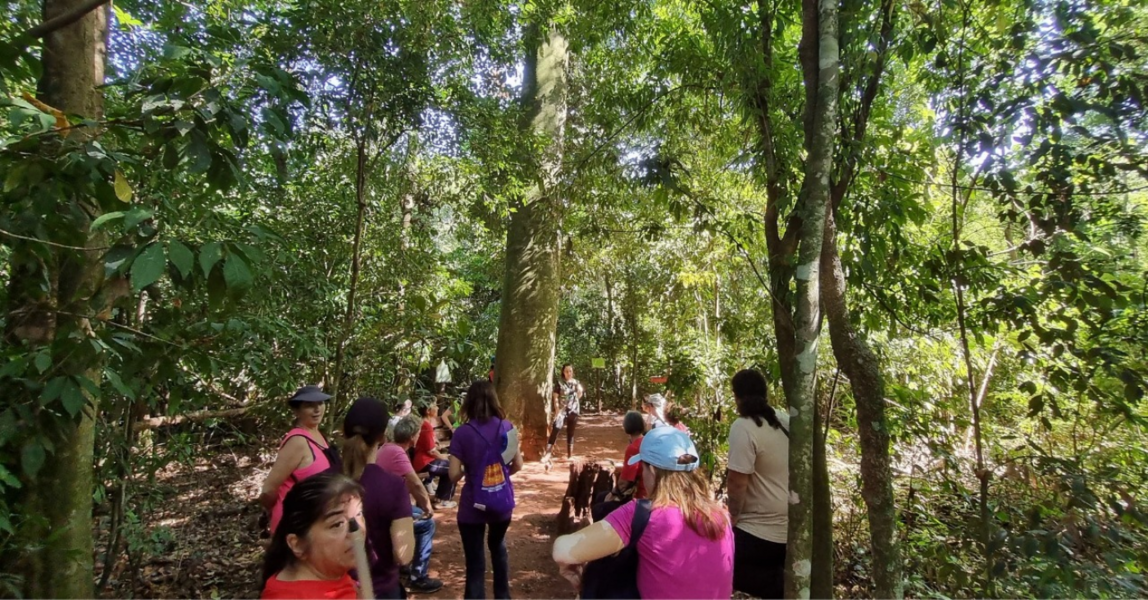 Integrantes do programa UniversIDADE da Unicamp fazem atividade na Mata de Santa Genebra