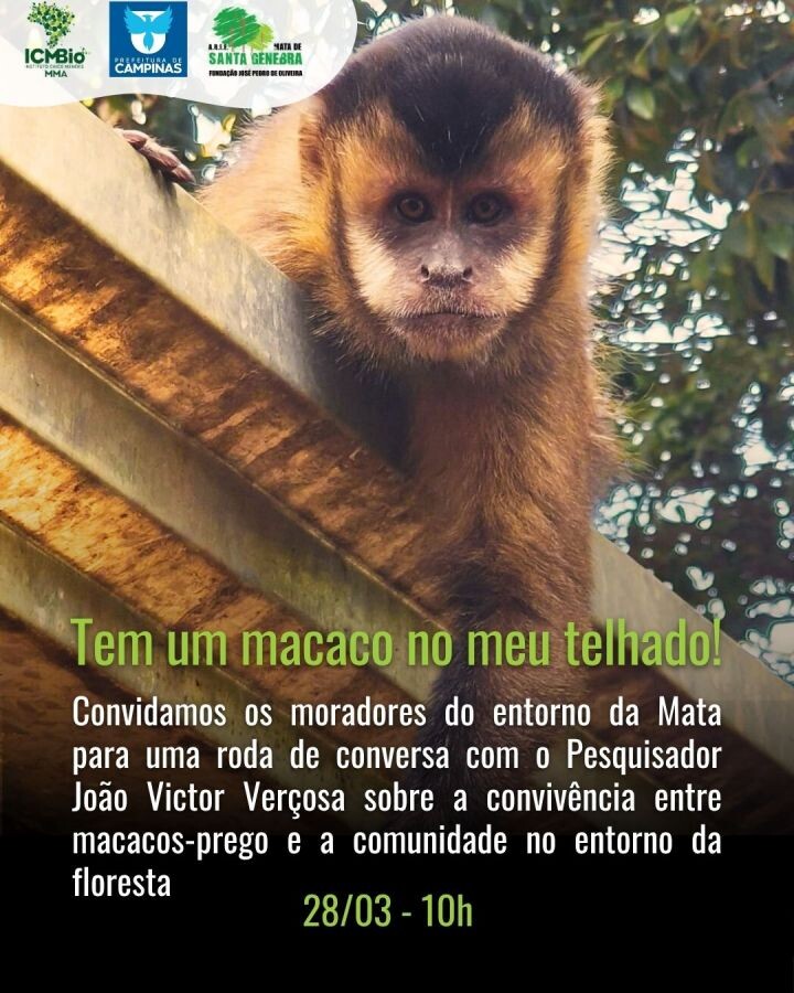 Mata de Santa Genebra convida para Roda de conversa: Tem um macaco no meu telhado
