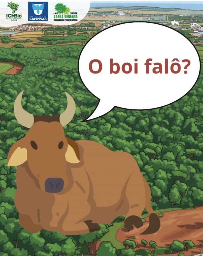 Você conhece a lenda do Boi Falô?