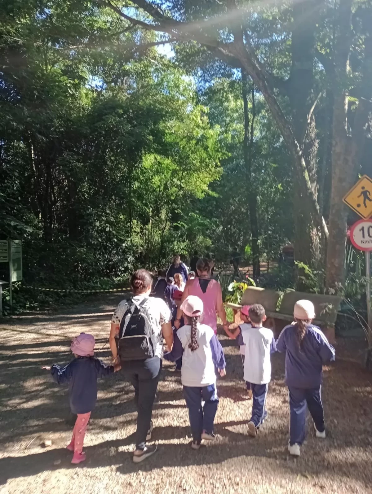Nesta semana, mais de 100 crianças do Ensino Infantil realizam visitas monitoradas na Mata de Santa Genebra