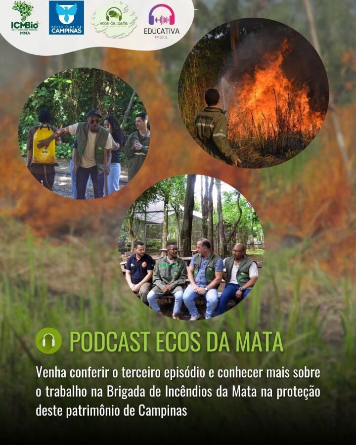 Novo episódio Ecos da Mata, o podcast da Mata de Santa Genebra
