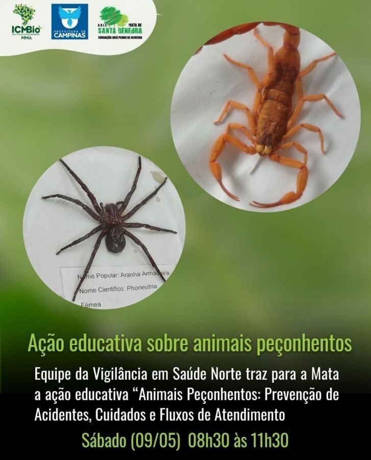 Sábado, 09/05, das 08h30 às 11h30, a ARIE Mata de Santa Genebra recebe a equipe da Vigilância em Saúde Norte com a ação educativa “Animais Peçonhentos: Prevenção de Acidentes, Cuidados e Fluxos de Atendimento”.