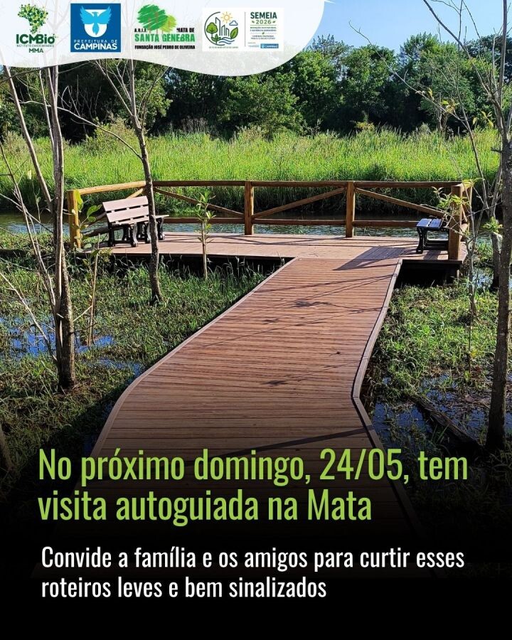 No próximo domingo, 24/05, tem visita autoguiada na MATA