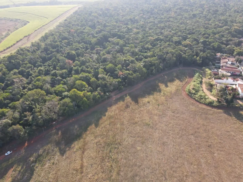 Semana do Meio Ambiente de Campinas 2026, acontece de 25 a 30 de Maio - Confira a programação na Mata