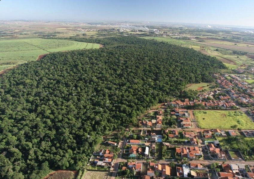 Fundação José Pedro de Oliveira e ARIE Mata de Santa Genebra celebram 45 anos de história e conservação ambiental