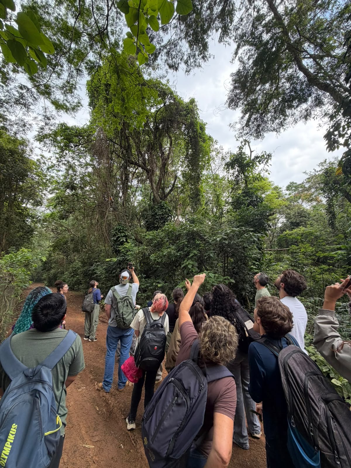 ARIE Mata de Santa Genebra recebe estudantes da UFSCar