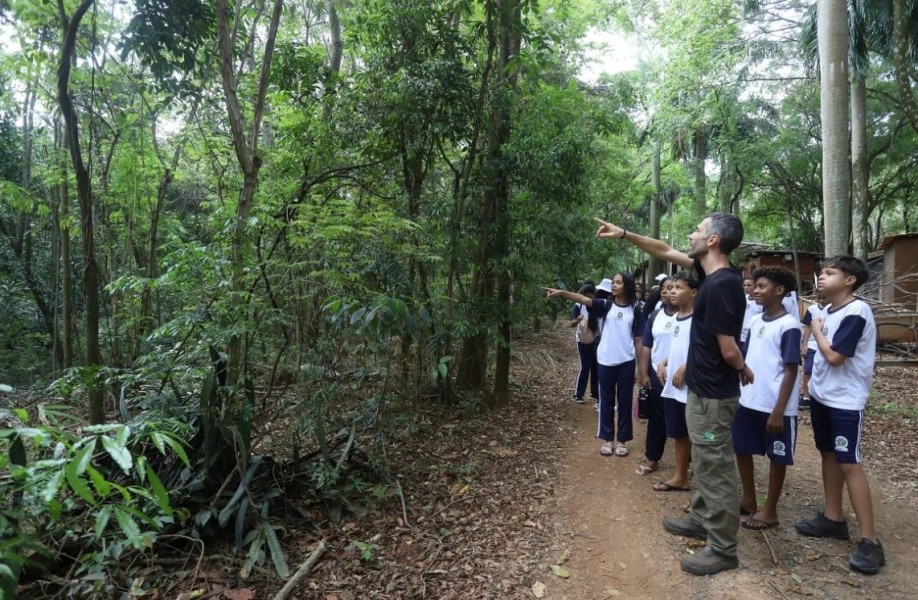 Dia do Professor: educação ambiental e conhecimento que inspiram a conservação da Mata de Santa Genebra